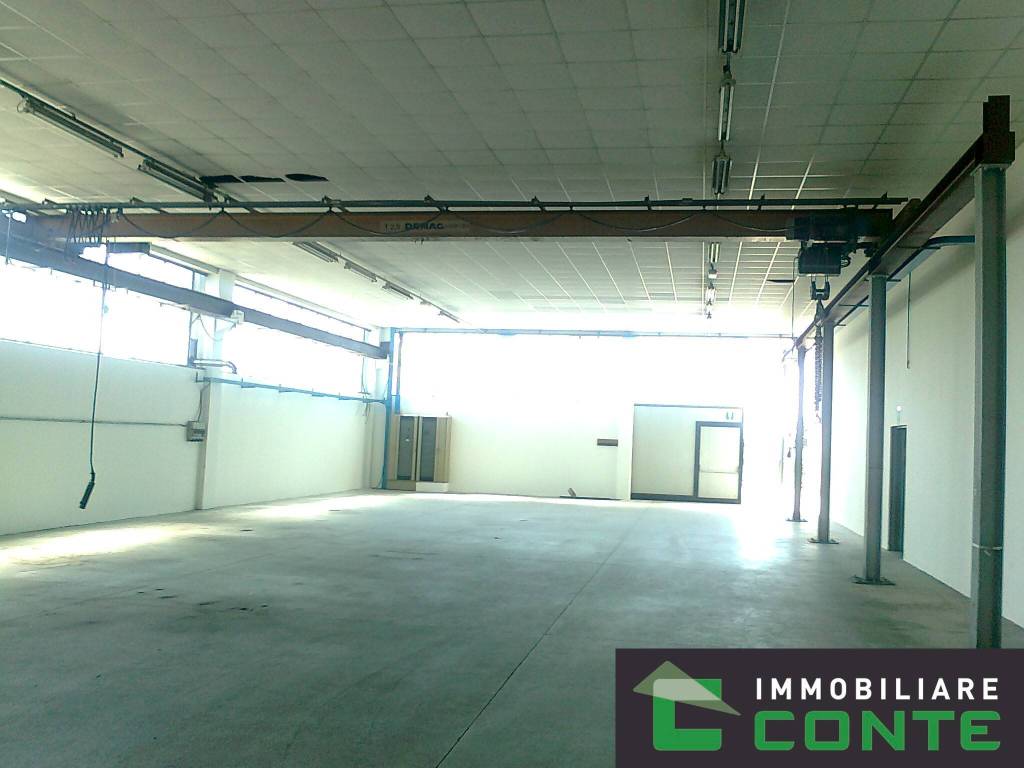 immagine annuncio 8 di 13