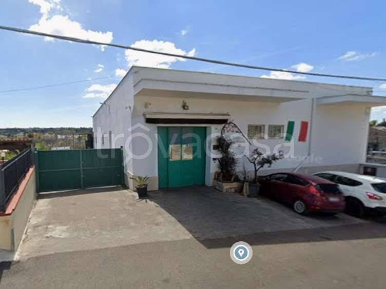 immagine annuncio 3 di 12