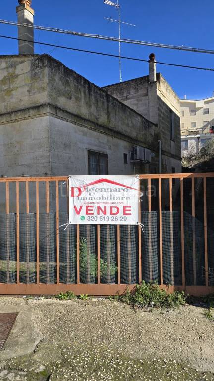 immagine annuncio 5 di 14