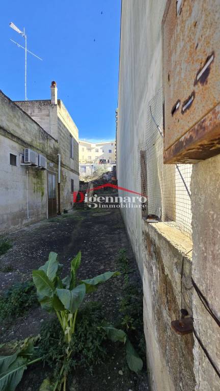 immagine annuncio 7 di 14