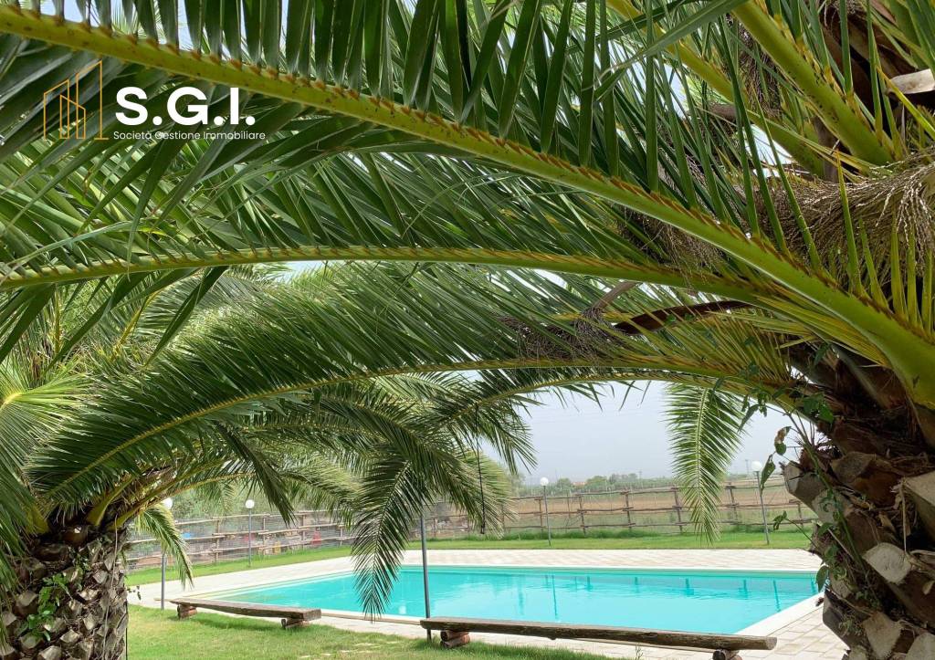 immagine annuncio 6 di 9