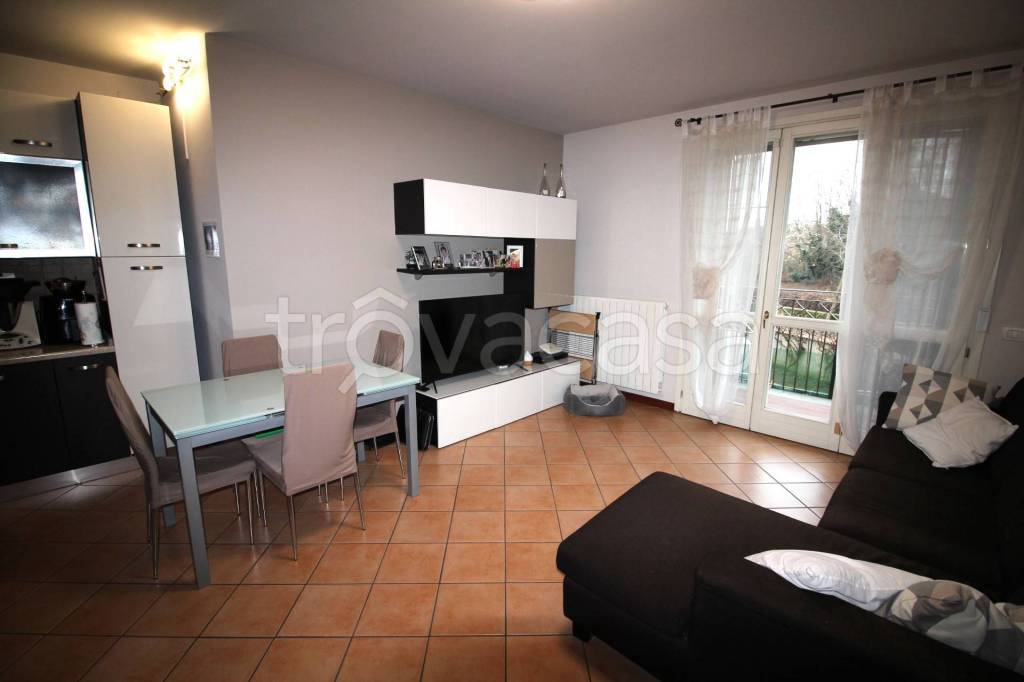 immagine annuncio 7 di 15