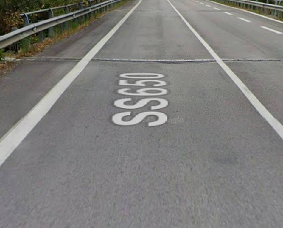 immagine annuncio 1 di 12