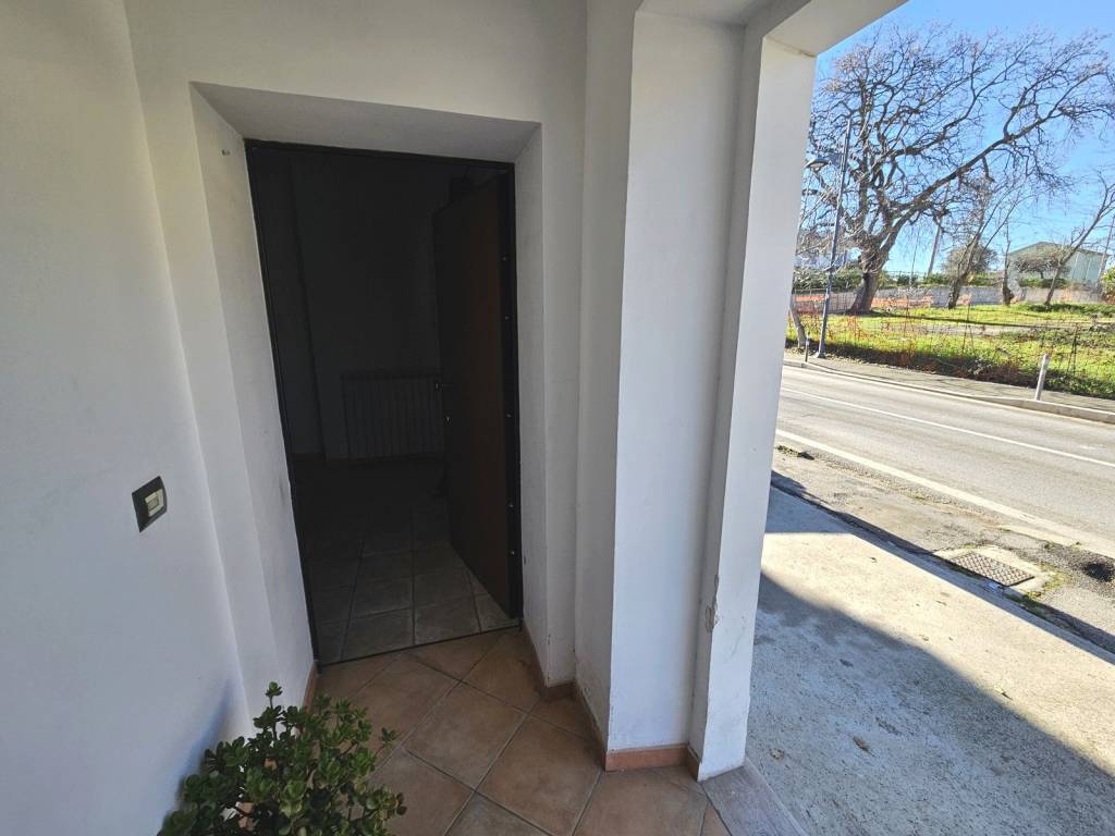 immagine annuncio 3 di 14