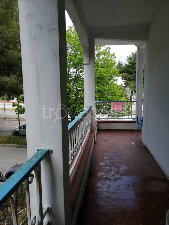 immagine annuncio 7 di 12