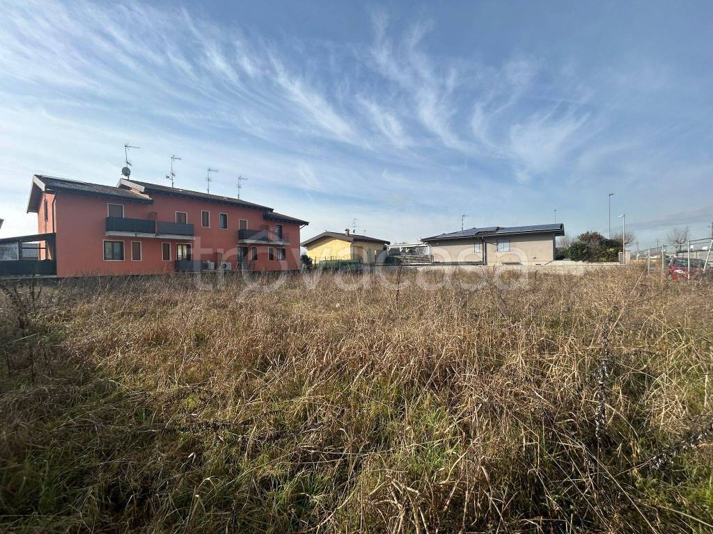 immagine annuncio 6 di 15