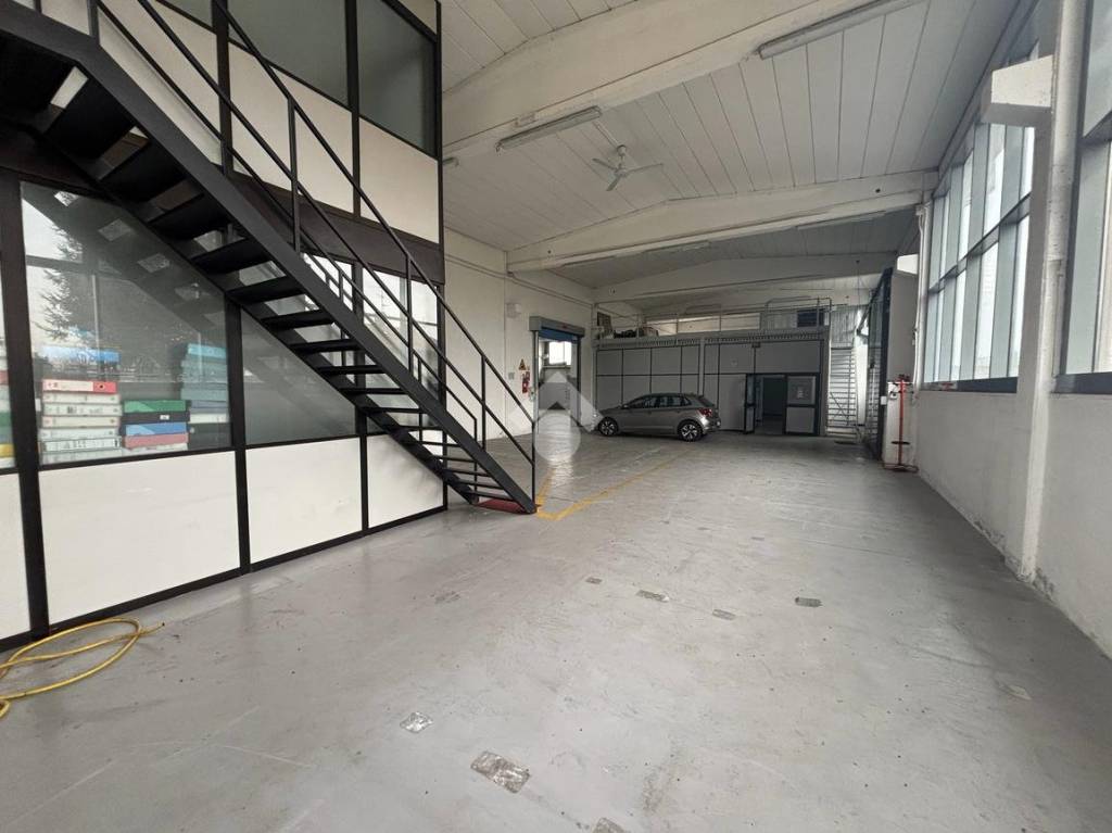 immagine annuncio 2 di 15