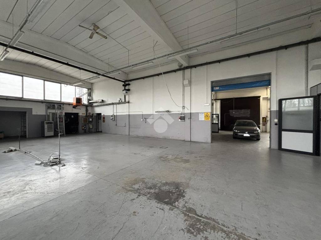 immagine annuncio 9 di 15