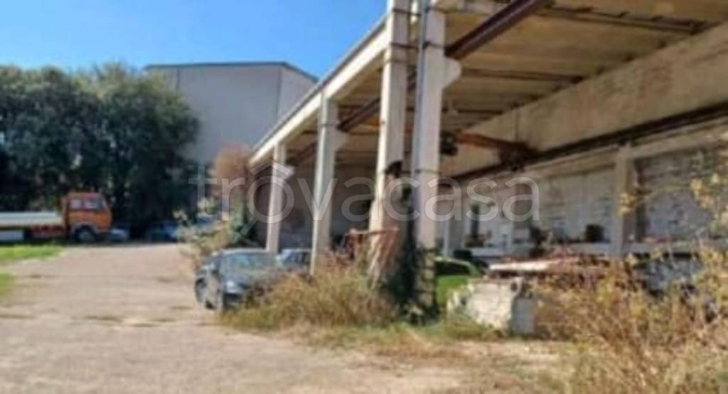 immagine annuncio 1 di 13