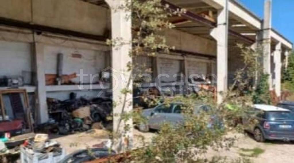 immagine annuncio 6 di 13