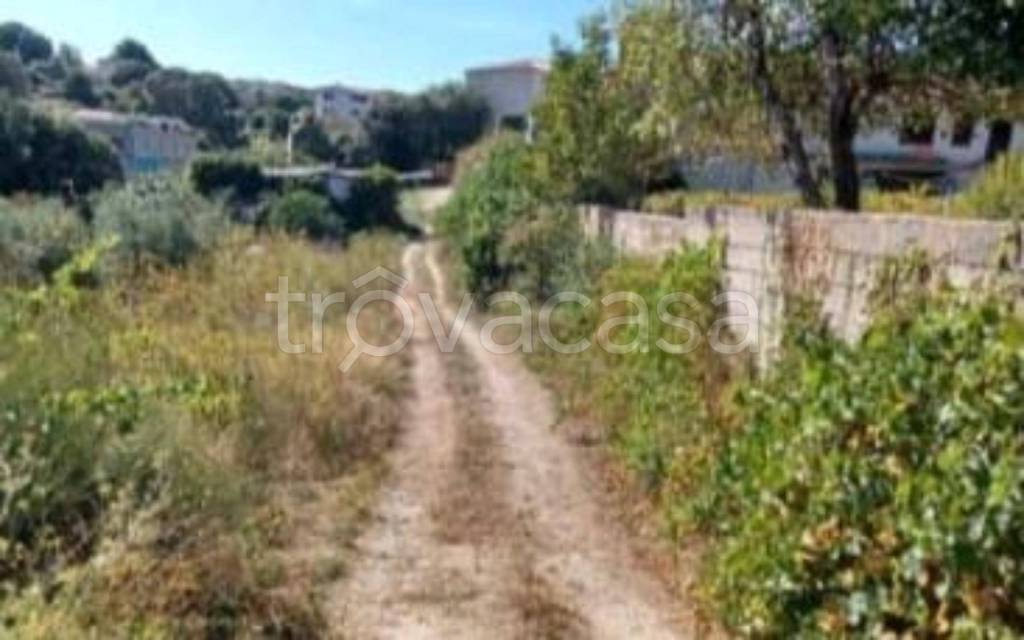 immagine annuncio 8 di 13