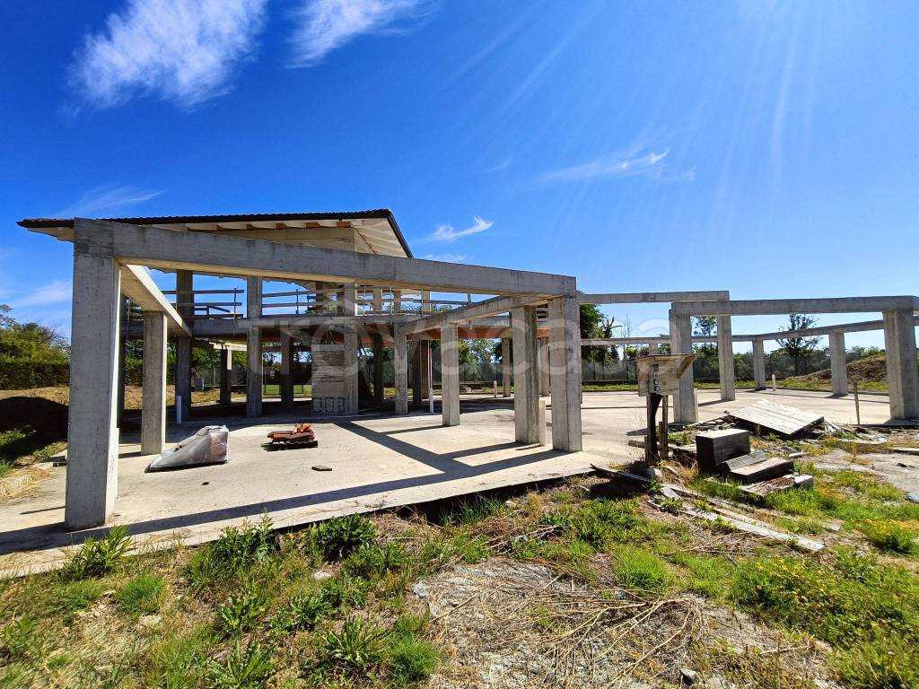 immagine annuncio 11 di 15