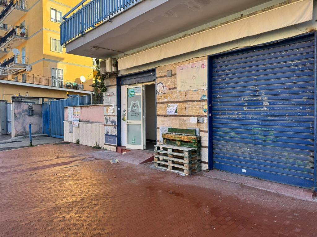 immagine annuncio 1 di 14