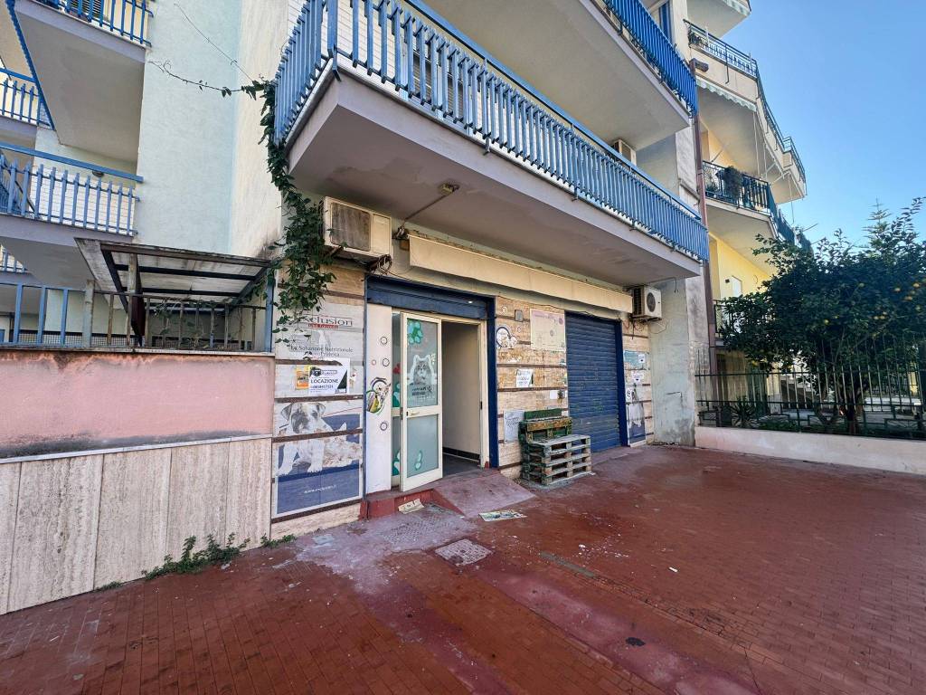 immagine annuncio 2 di 14