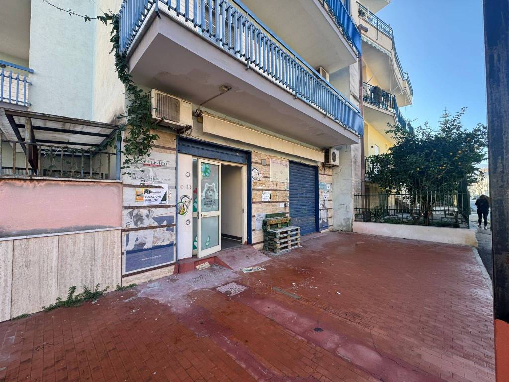 immagine annuncio 3 di 14