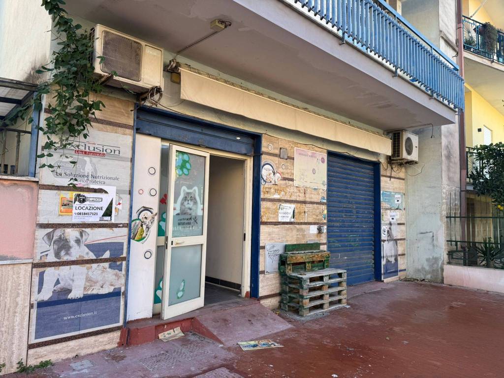 immagine annuncio 4 di 14