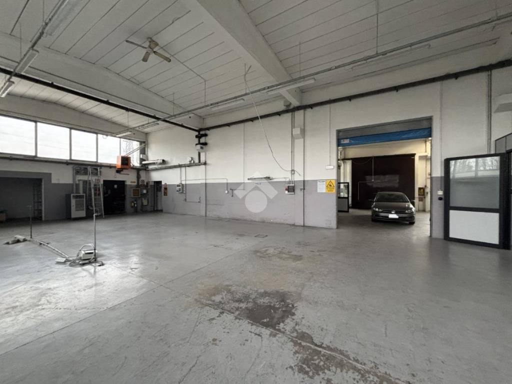 immagine annuncio 2 di 15