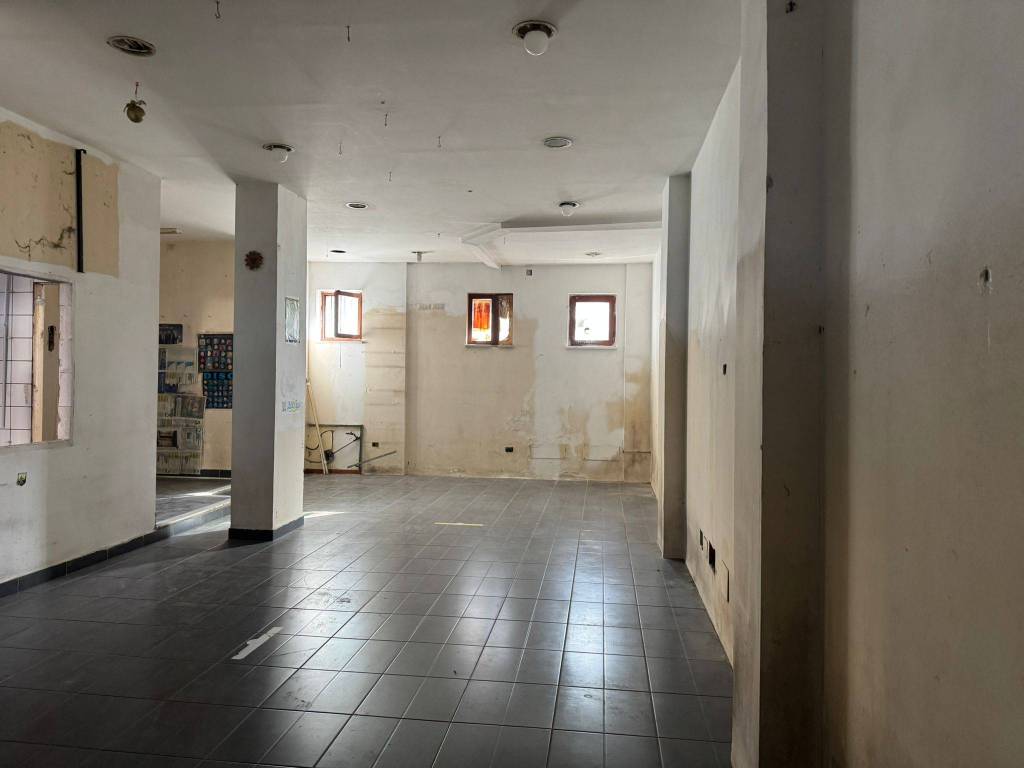 immagine annuncio 10 di 14