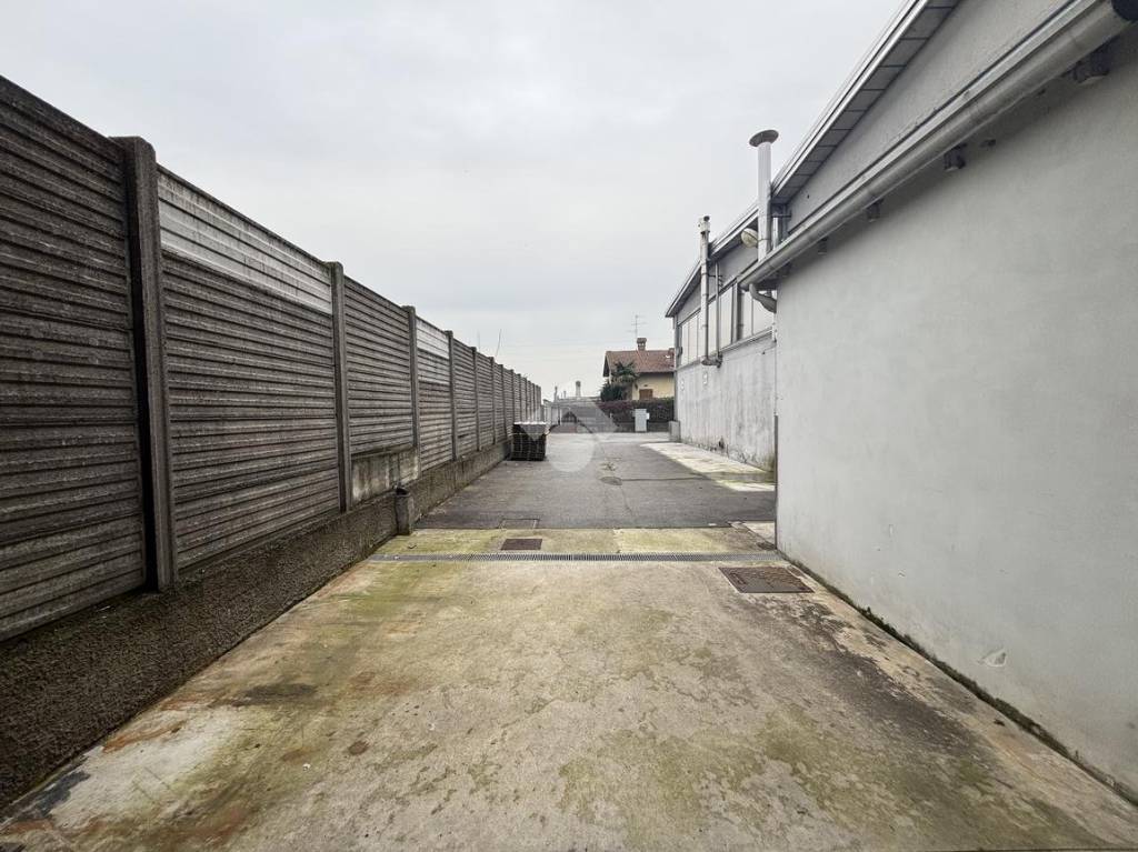 immagine annuncio 6 di 15