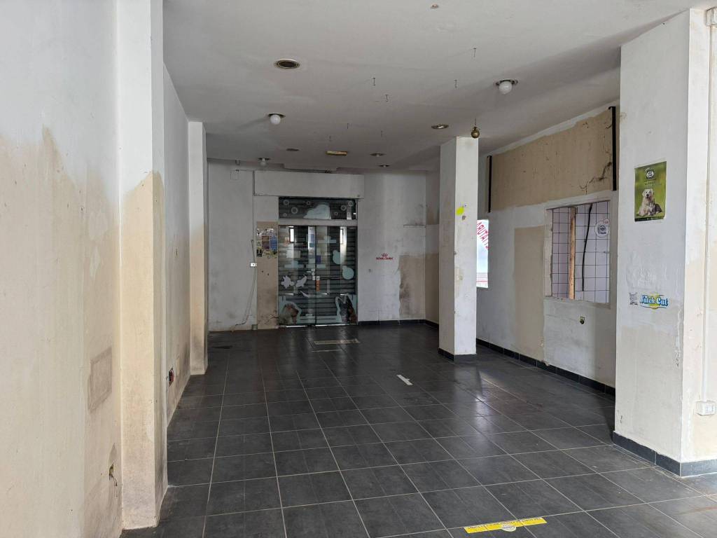 immagine annuncio 11 di 14