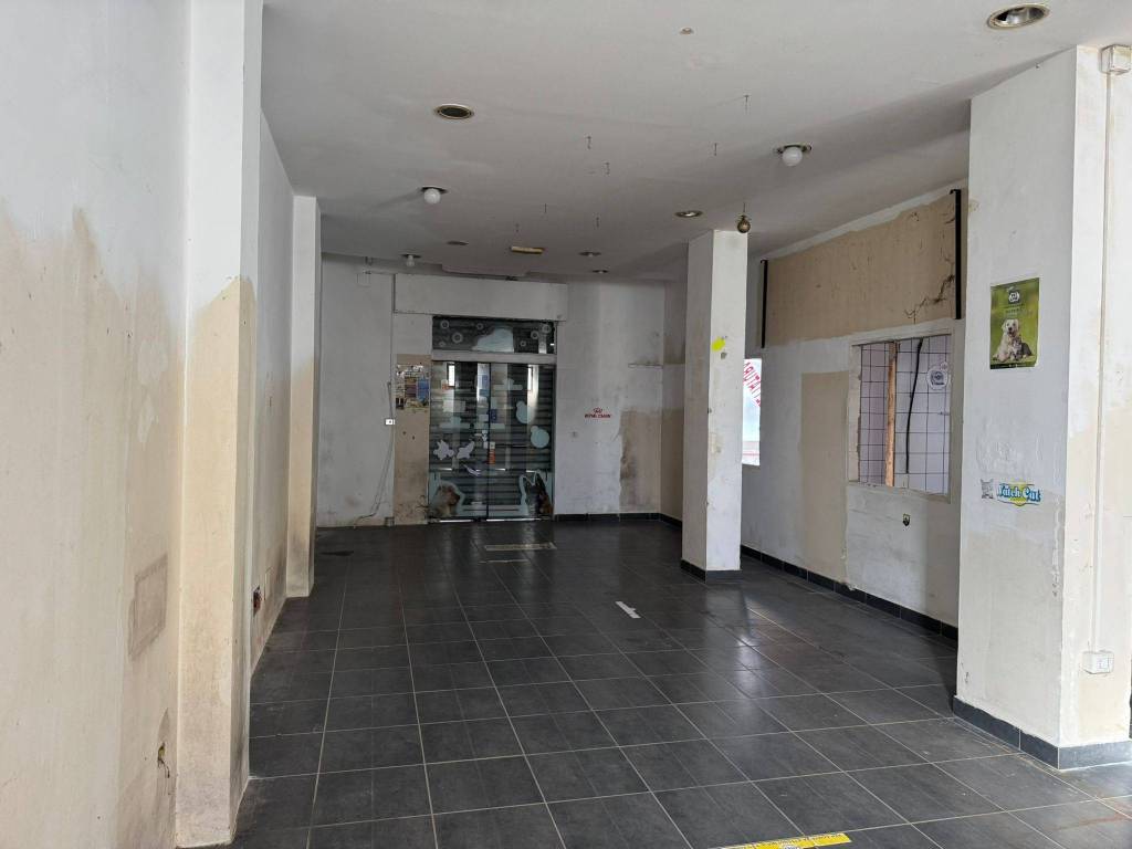 immagine annuncio 12 di 14