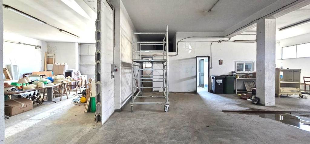 immagine annuncio 9 di 15