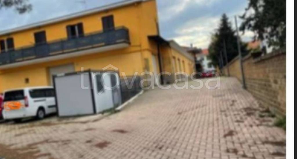 immagine annuncio 5 di 11