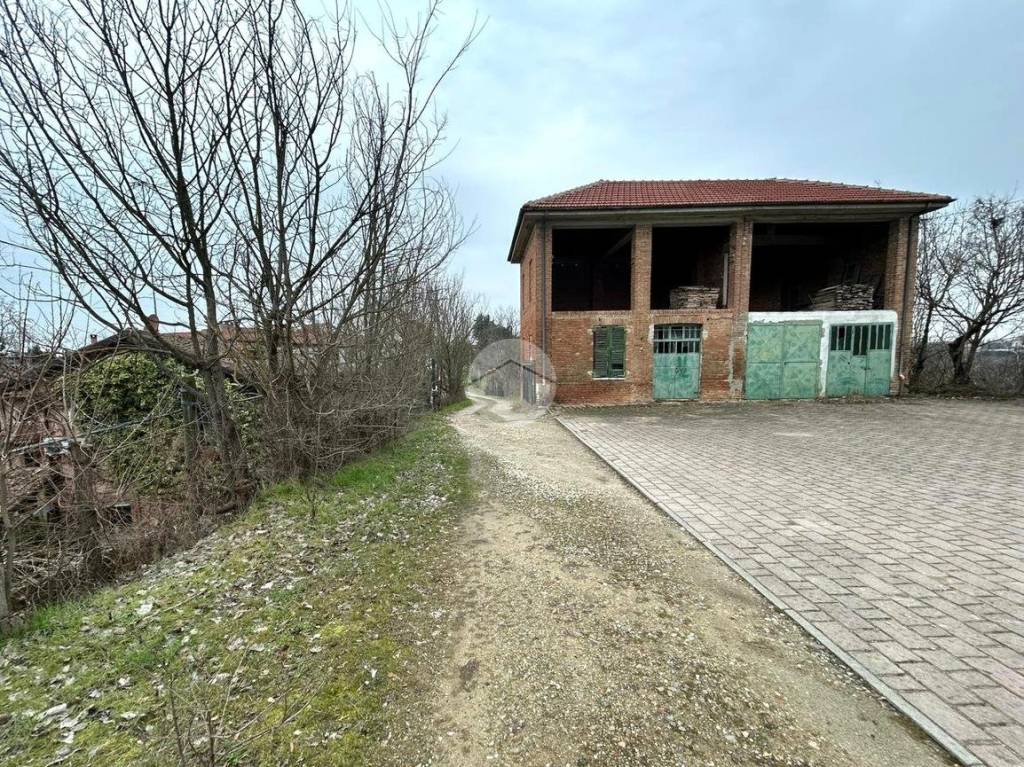 immagine annuncio 2 di 15