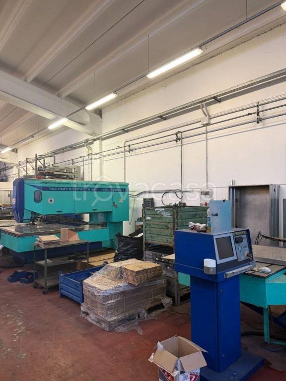 immagine annuncio 4 di 14