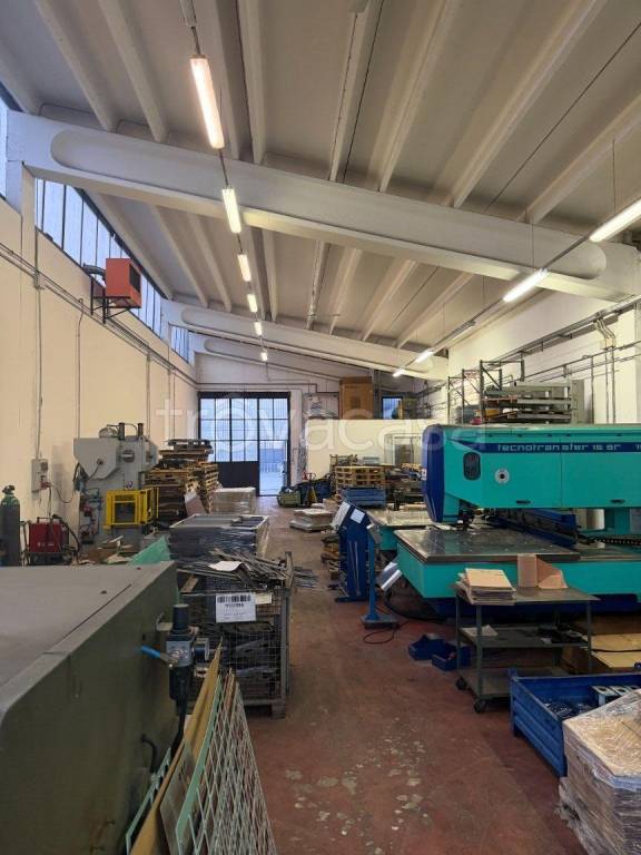 immagine annuncio 5 di 14