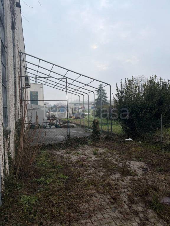 immagine annuncio 6 di 14