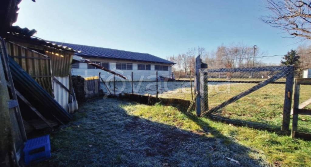 immagine annuncio 4 di 10