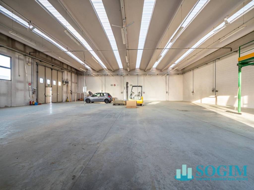 immagine annuncio 9 di 15