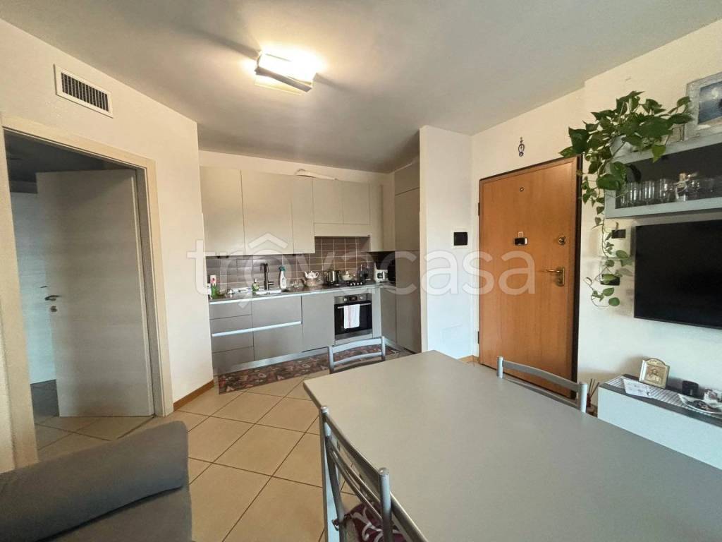 immagine annuncio 1 di 14