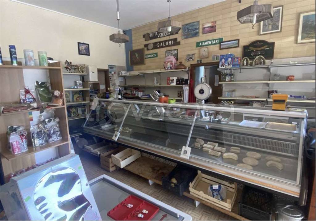 immagine annuncio 2 di 8