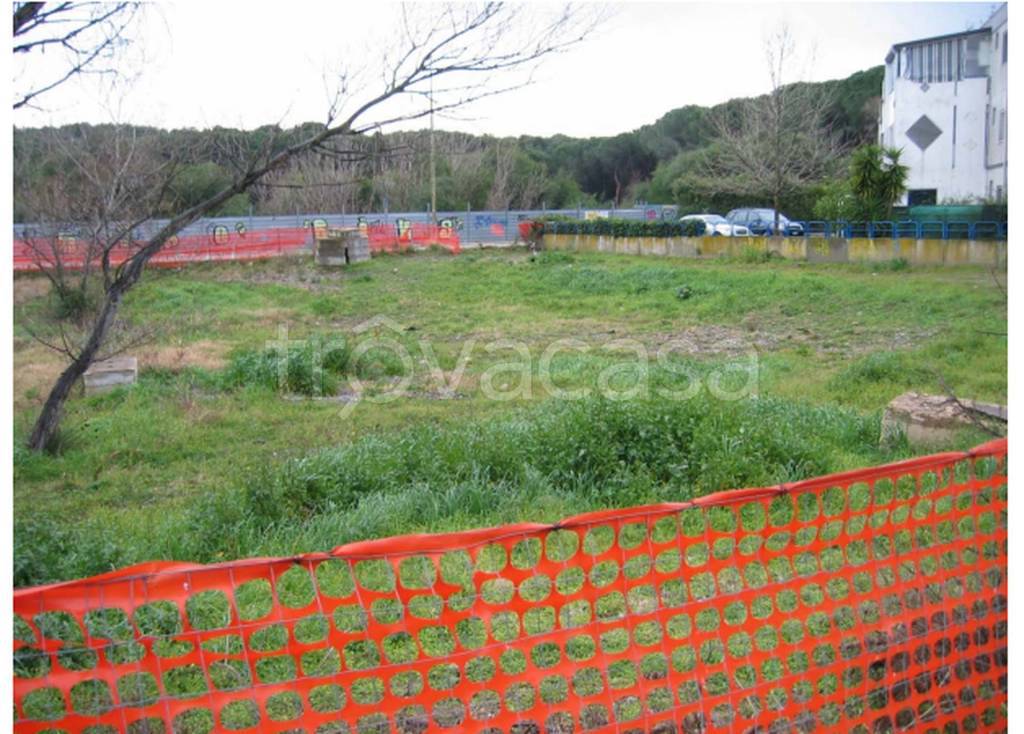 immagine annuncio 10 di 11