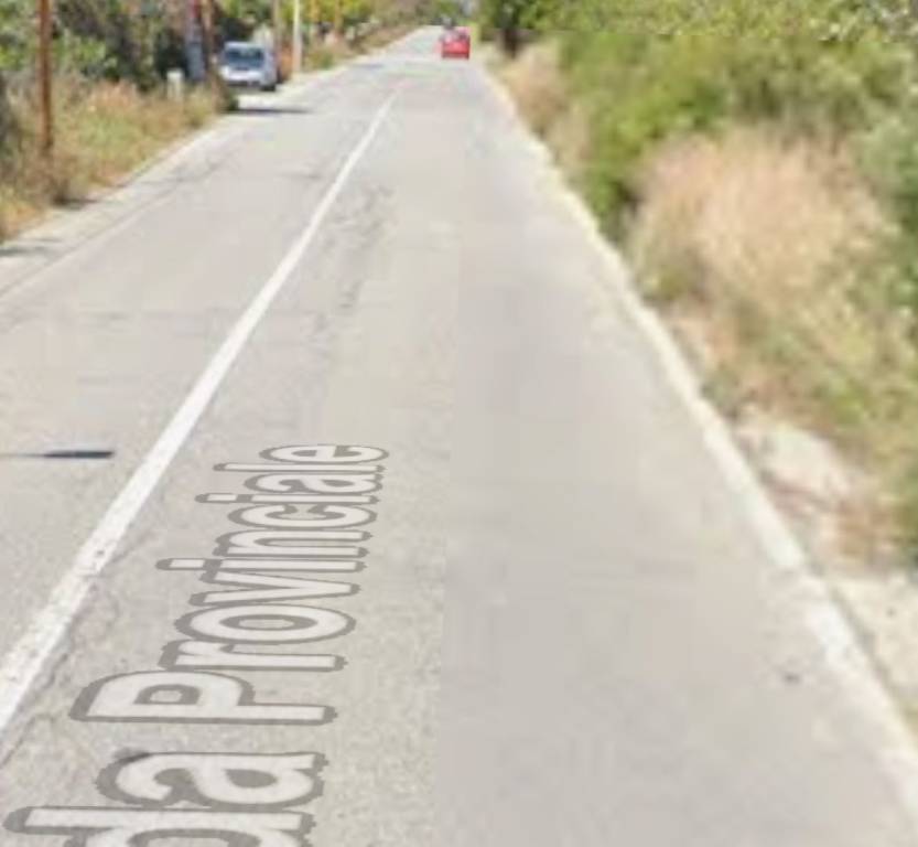 immagine annuncio 2 di 12