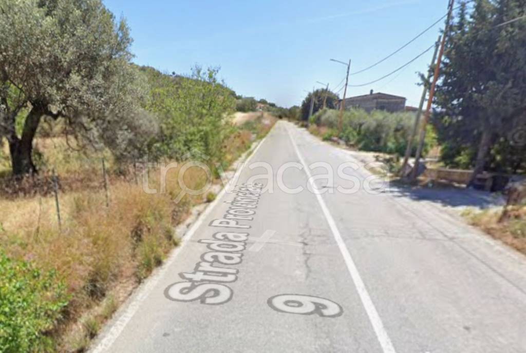 immagine annuncio 5 di 12