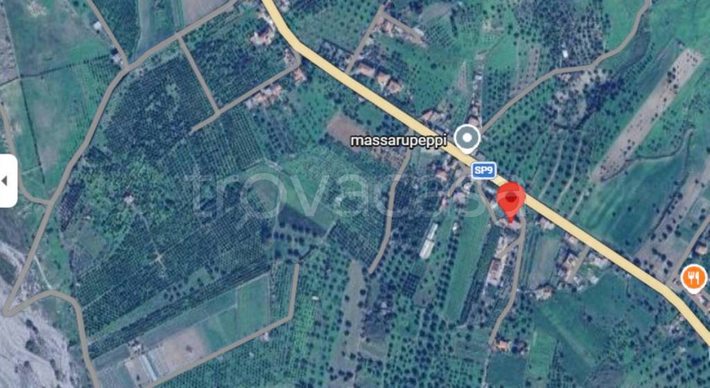 immagine annuncio 9 di 12