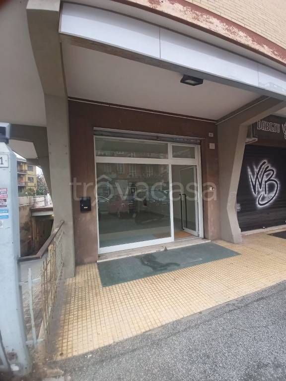 immagine annuncio 13 di 14