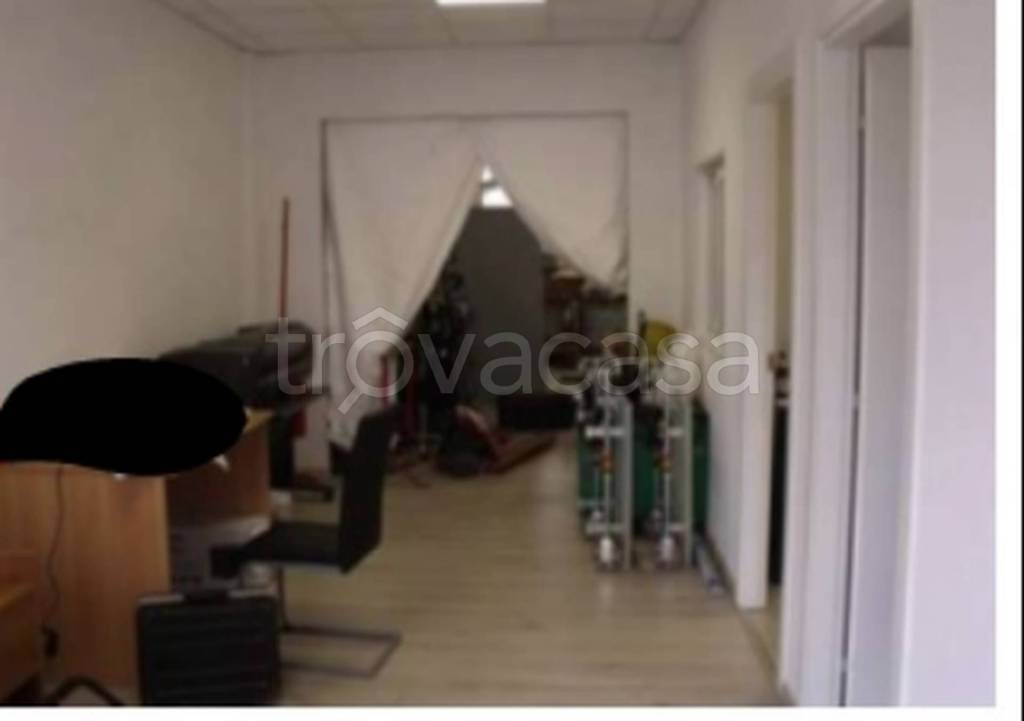 immagine annuncio 5 di 11