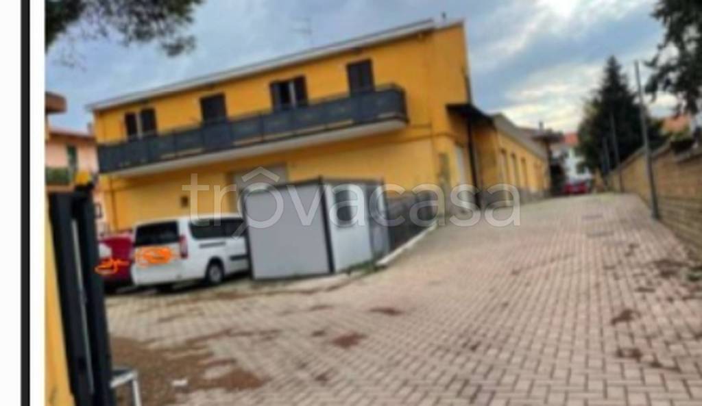 immagine annuncio 9 di 11