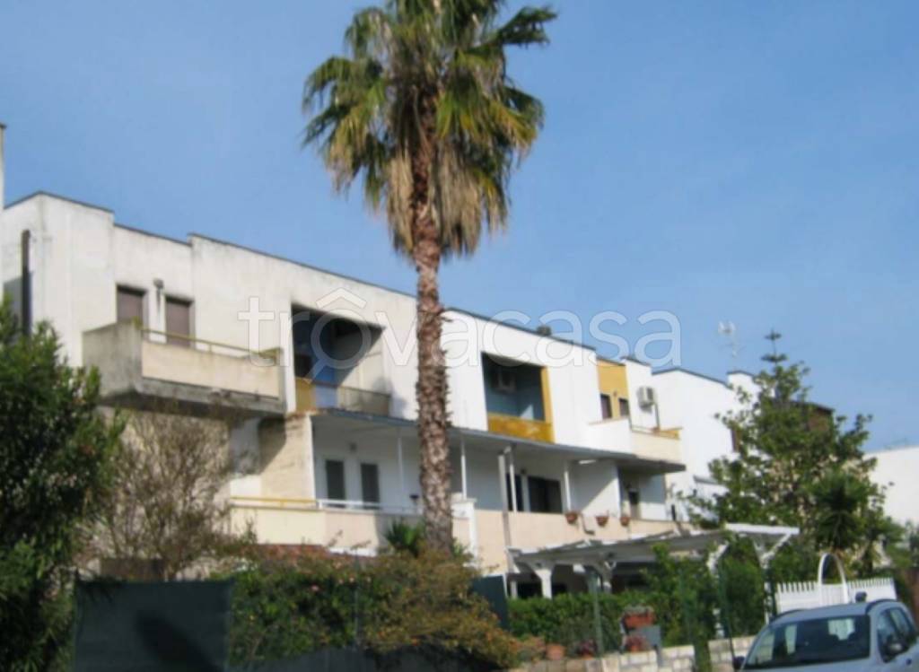 immagine annuncio 5 di 12