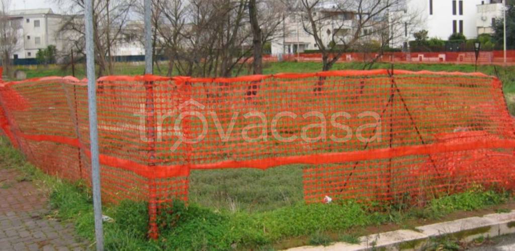 immagine annuncio 8 di 12