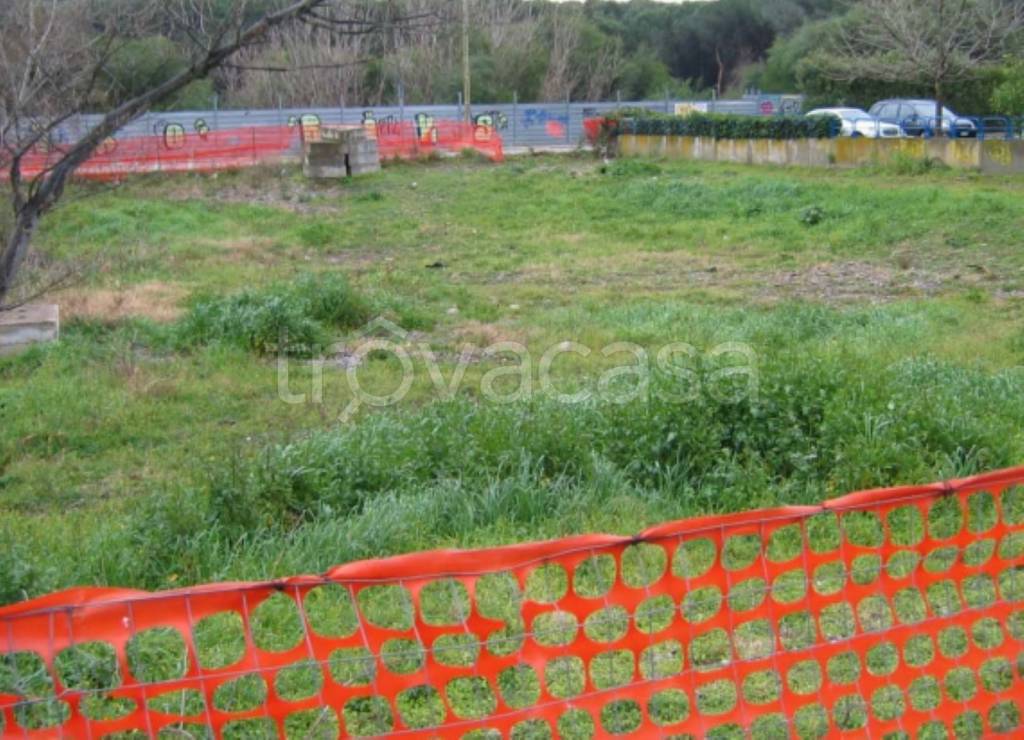 immagine annuncio 9 di 12