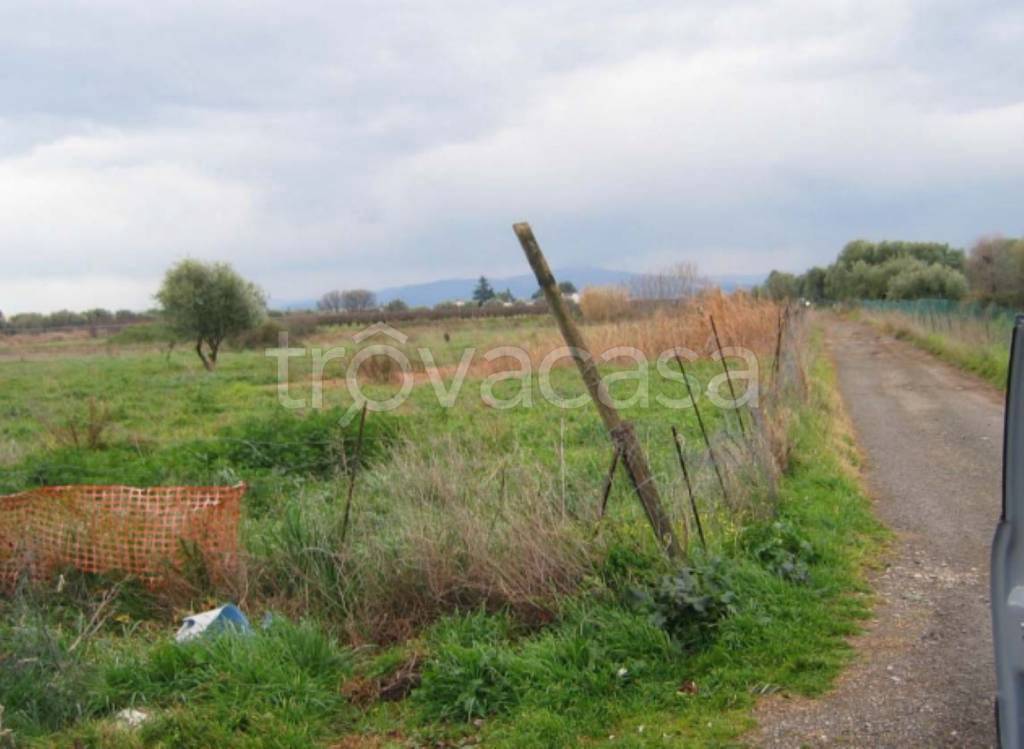 immagine annuncio 10 di 12