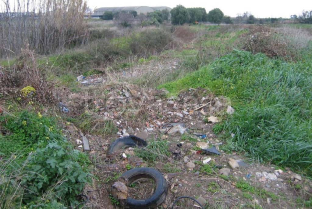 immagine annuncio 11 di 12