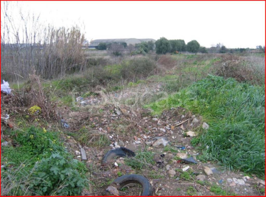 immagine annuncio 5 di 12