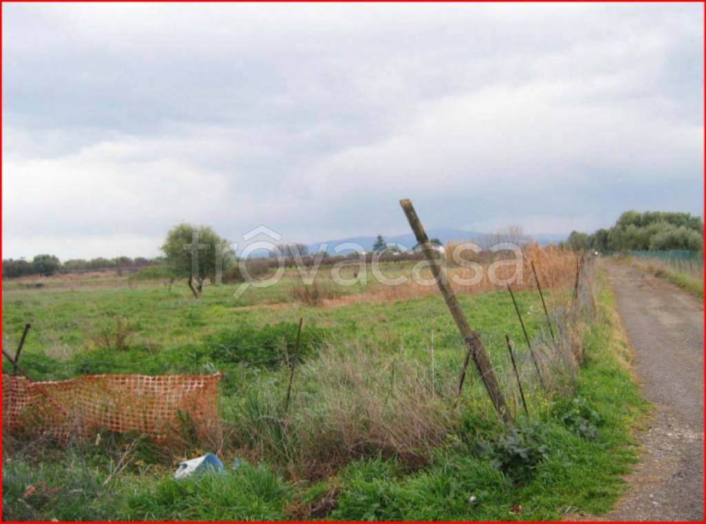 immagine annuncio 6 di 12