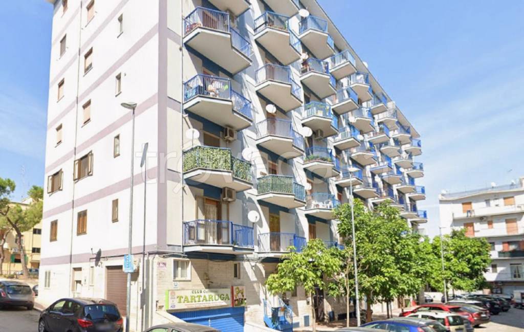 immagine annuncio 2 di 12